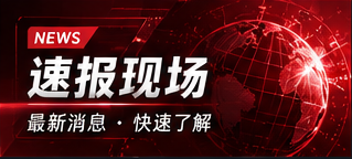 今日速览
